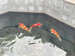 -西安市广仁寺