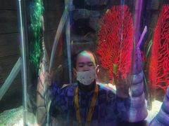 -沈阳海洋探索中心