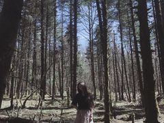 -石棉县孟获城