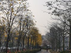 -洲头咀公园