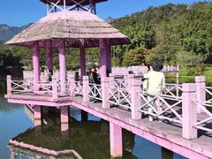 -田野绿世界