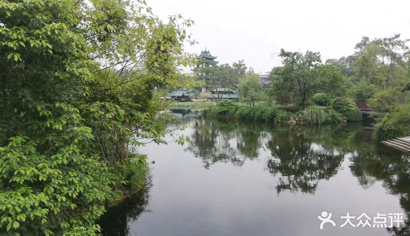 一个人在桂湖森林公园坐着发呆……