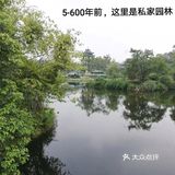 一个人在桂湖森林公园坐着发呆……