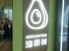 -油梨树AVOCADO TREE(望京店)