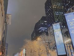 -北京朝阳悠唐皇冠假日酒店