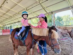 -世纪飞马幼儿园(西城校区)