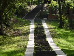 -青龙山国家森林公园