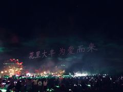 -荷兰花海
