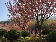 -石岛赤山风景区