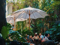 -Fern Forest Cafe