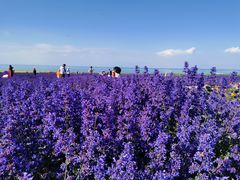 -青海湖国家重点风景名胜区