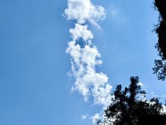 -少华山国家森林公园