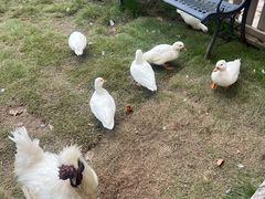 -HERRE·FARM 赫尔露营农场·团建聚会包场