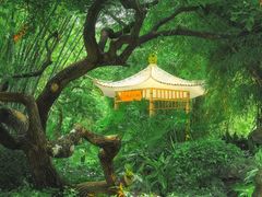 -晓港公园