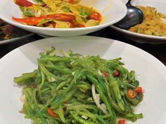 清炒水性杨花-紫滇源云南生态菜(丹凤街店)