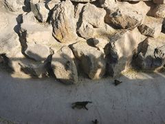-太原动物园