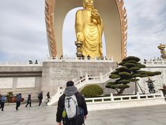 -庐山风景名胜区-东林大佛