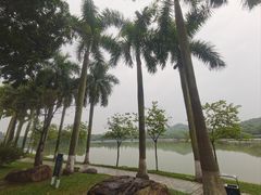 -番禺大夫山森林公园