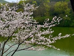 -南山风景名胜区