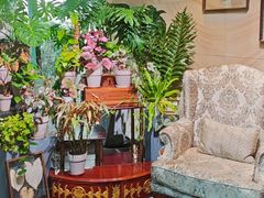 -棕榈岛海鲜自助餐厅(虹桥迎宾馆店)