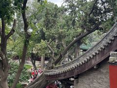 -晋祠公园