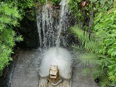 -深圳仙湖植物园