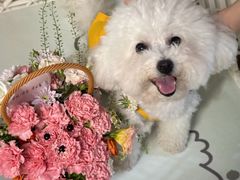 -狗舍宠物医院(四季商业广场店)