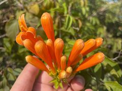 -孔雀湖生态旅游区