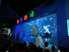 -石林冰雪海洋世界