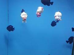 -北戴河圣蓝海洋公园