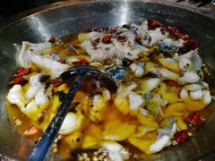 -雲蜀龙阁·金牌水煮鱼(方庄店)