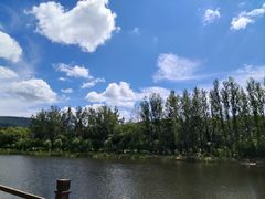 -汤旺河林海奇石景区
