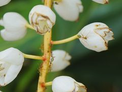 -热带雨林自然公园