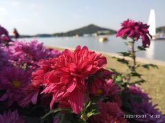 -上海月湖雕塑公园