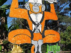 -清迈丛林飞跃 JungleFlight