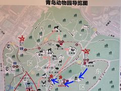 -青岛动物园
