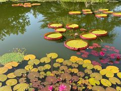 -国家植物园南园