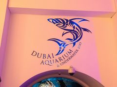 -迪拜水族馆及水下动物园