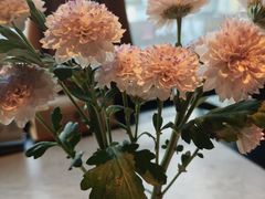 -半秋山西餐厅(宜昌大洋店)