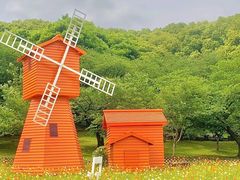 -苏州上方山国家森林公园