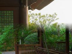 -杭州半山国家森林公园