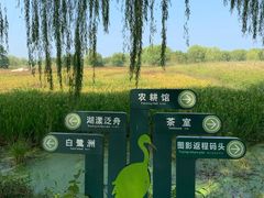 -长兴太湖图影湿地文化园