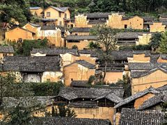 -杨家堂村
