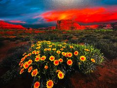 -罗红摄影艺术馆