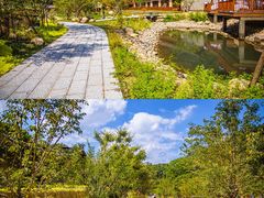 -石台牯牛降景区