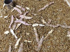 -三旗百汇商品城