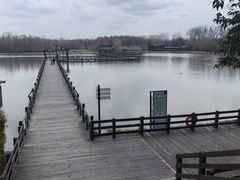 -溱湖国家湿地公园