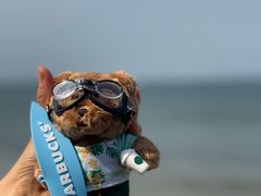 -ChanDu躔度咖啡(灯塔店)