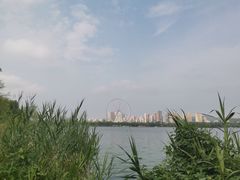 -济南国际园博园