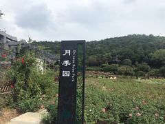 -龙寺生态园